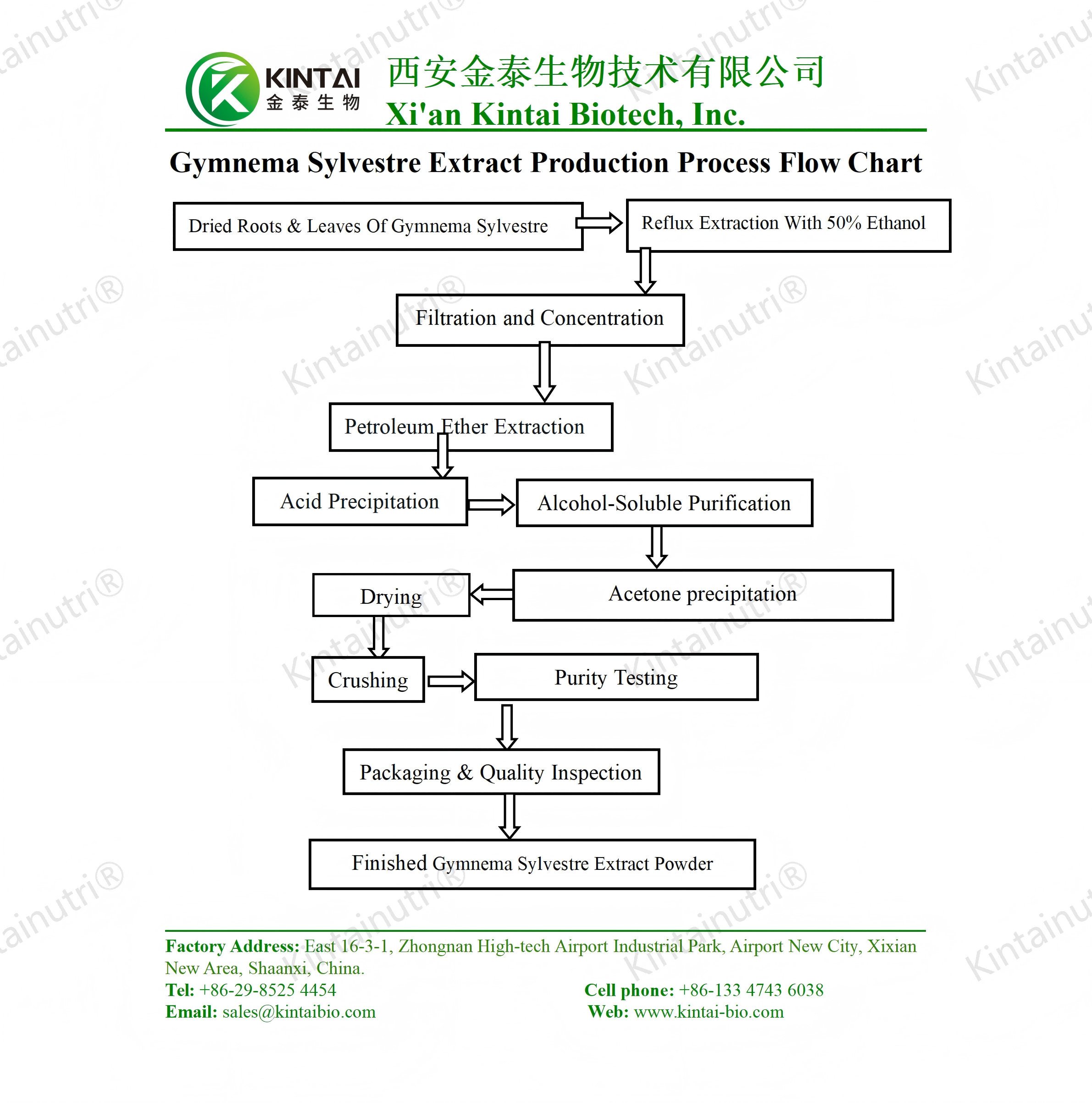 Gymnema Sylvestre Extract Production Process Flow Chart Bagan Alur Prosés Produksi Ékstrak Gymnema Sylvestre
