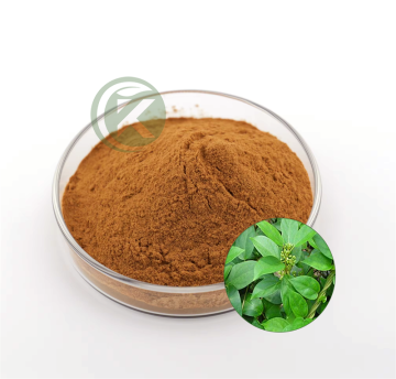 Gymnema Sylvestre Extract Gymnemic Acid powder