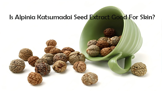 Is Alpinia Katsumadai Seed Extract Good For Skin