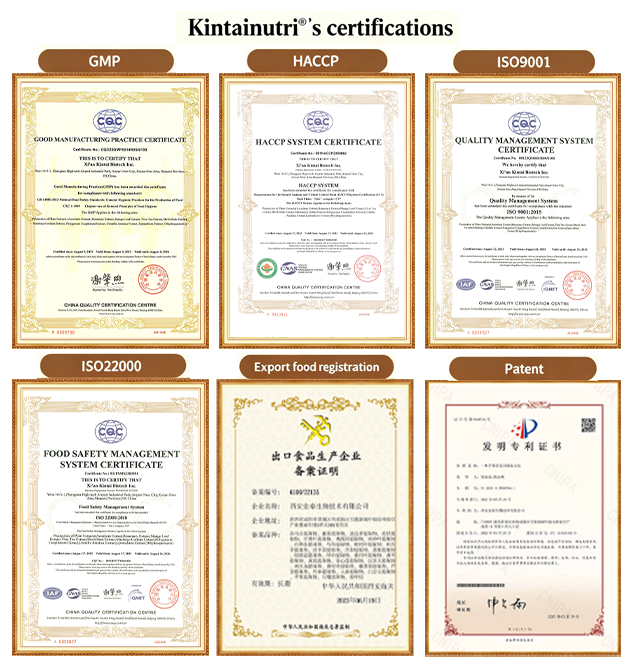 Sertifikasi Kintainutri®..