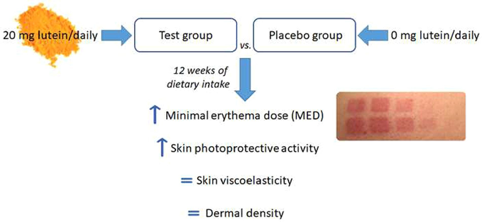 lutein for skin