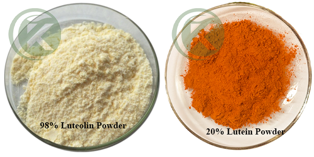 Lutein powder and Luteolin powder Lutein powder and Luteolin powder