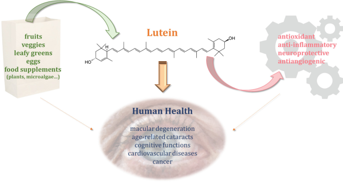 Lutein