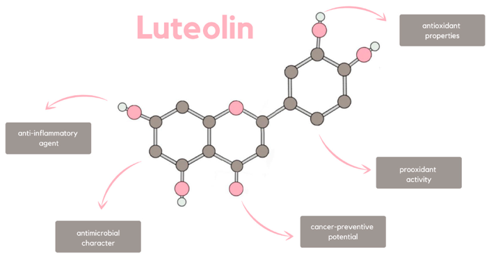 Luteolin