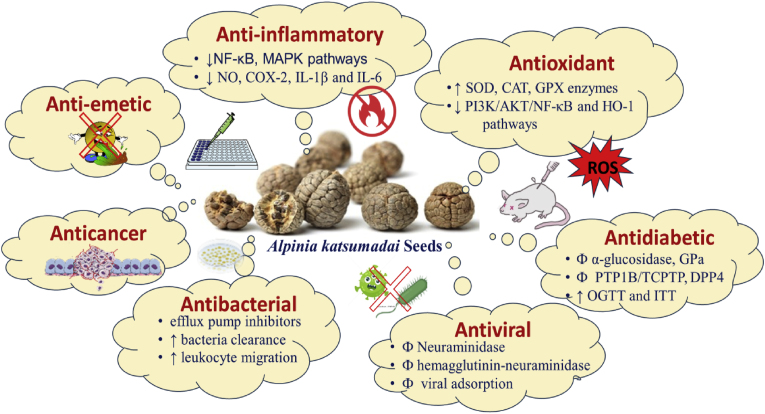pharmacological activity