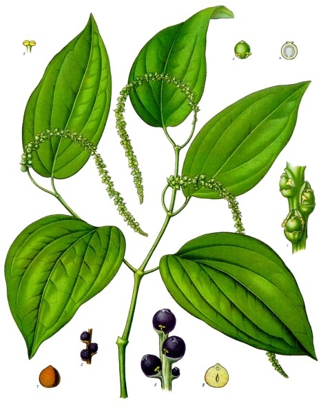 piperine