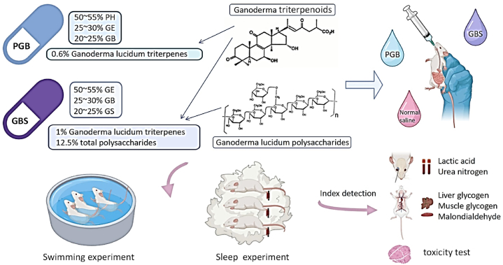 Reishi mushroom extract for sleep