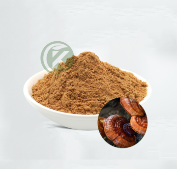 Reishi Mushroom Extract Powder