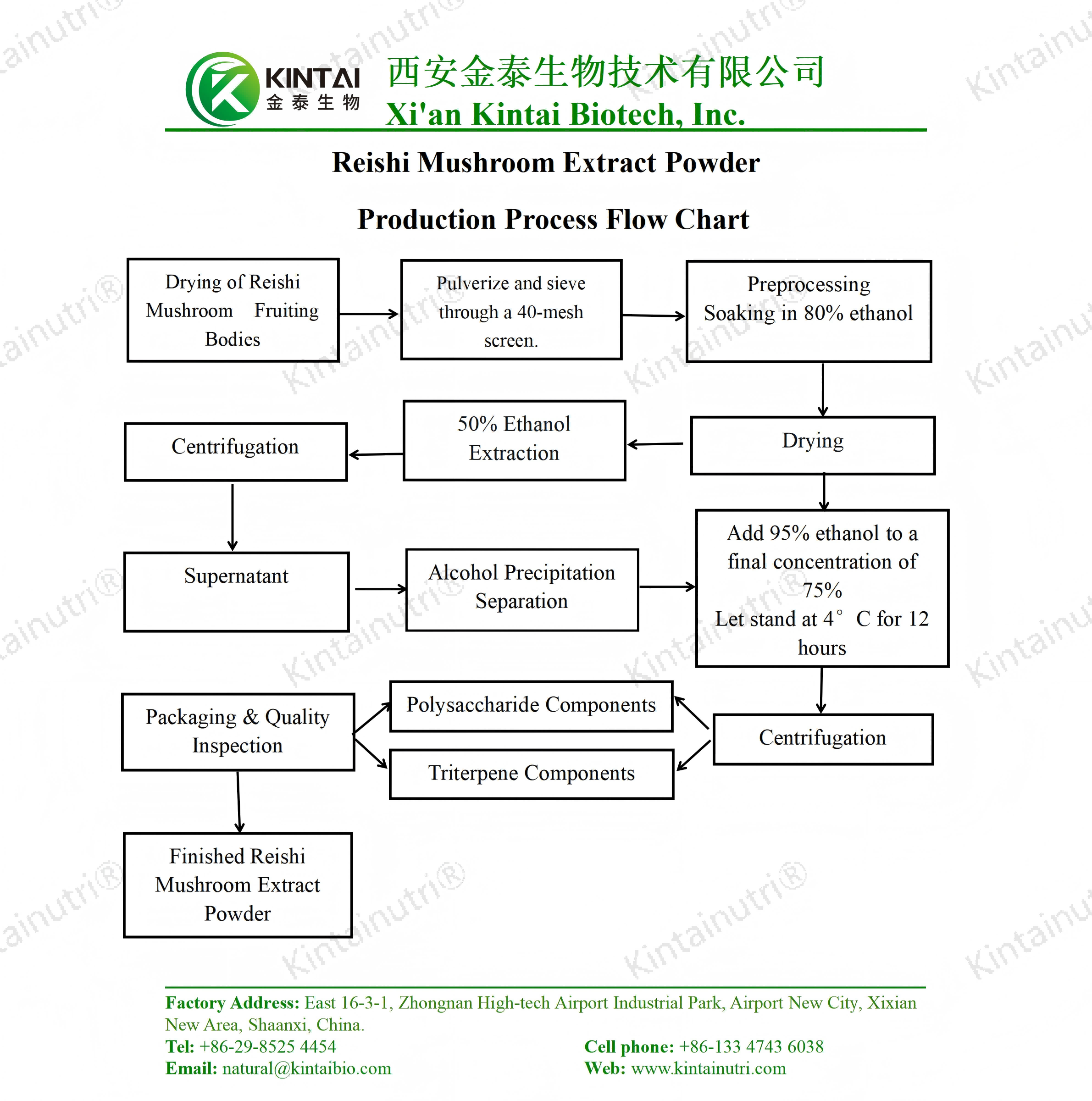 Reishi Mushroom Extract PowderProduction Process Flow Chart_01