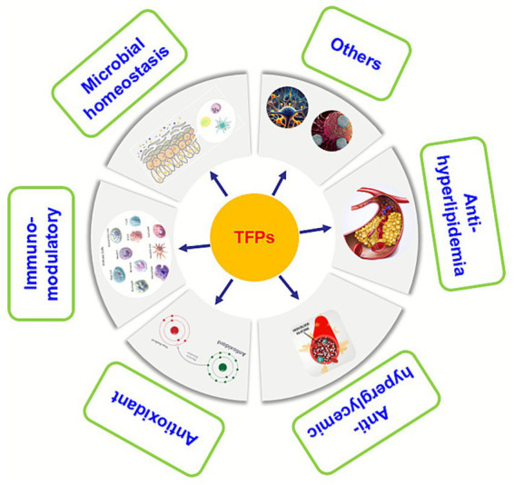 The pharmacological effects of Tremella fuciformis polysaccharides Éfék farmakologis polisakarida Tremella fuciformis