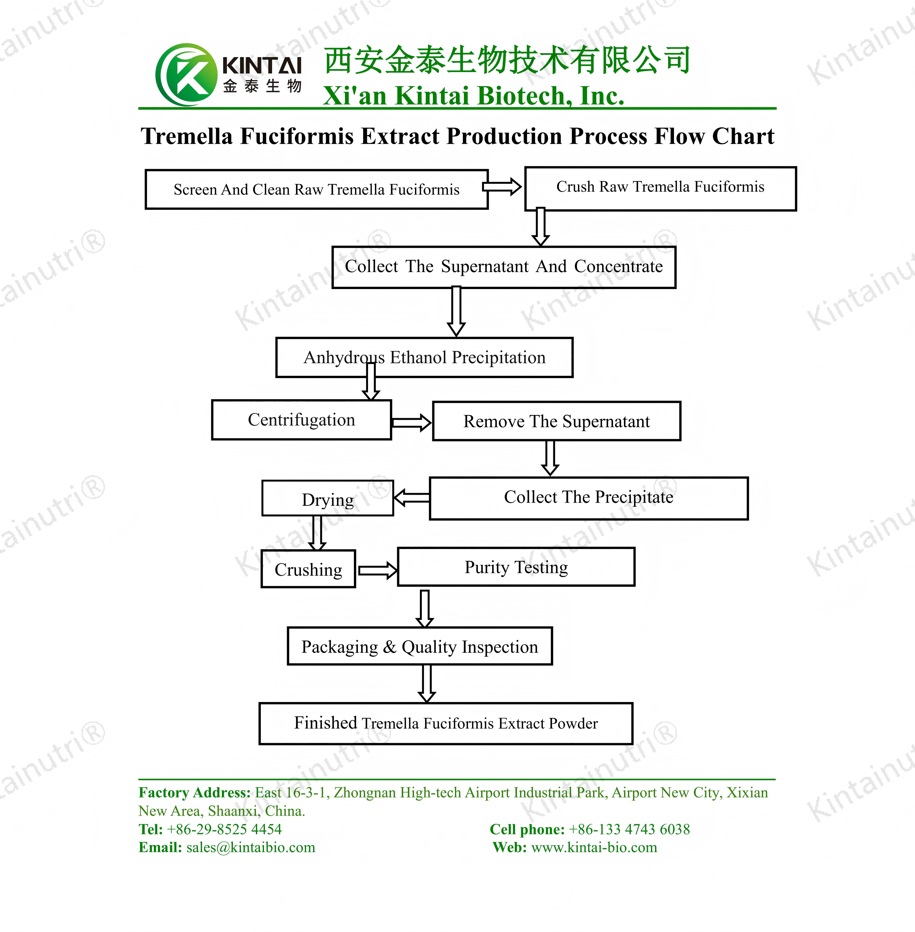 Tremella fuciformis extract Production Process Flow Aliran Prosés Produksi Ékstrak Tremella fuciformis