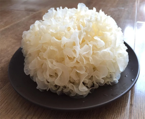Tremella Fuciformis Extract Powder-product