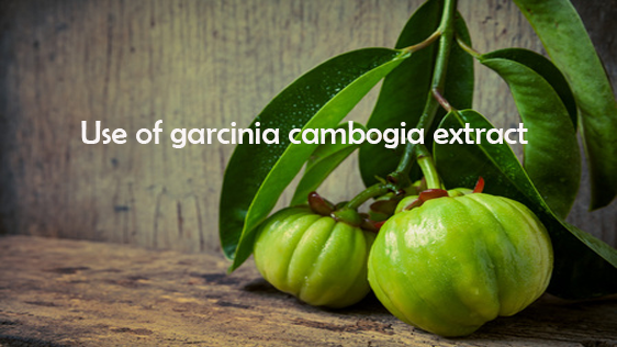 Use of garcinia cambogia extract