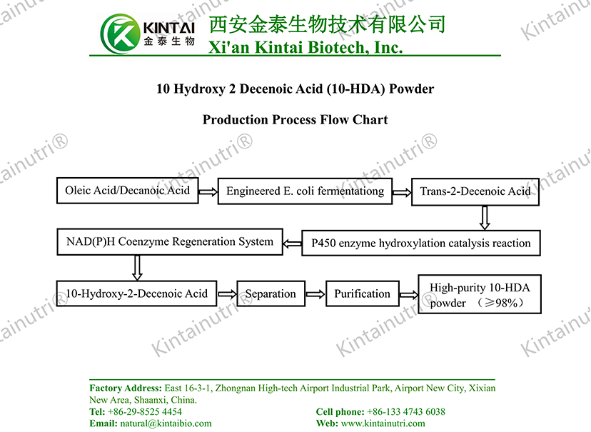 10 Hydroxy 2 Decenoic Acid 10-HDAPowder Production Process