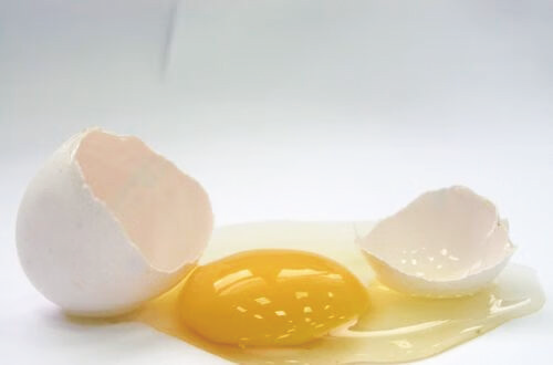 chicken egg white
