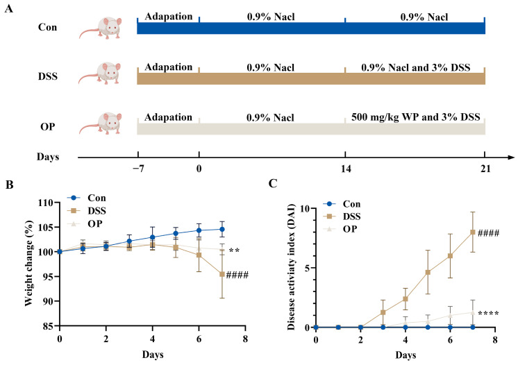 Effect of OP supplementation on DSS