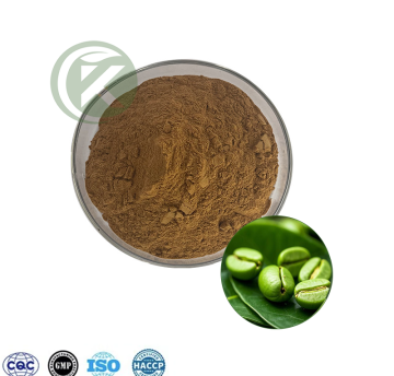 Green Coffee Bean Extract Powder
