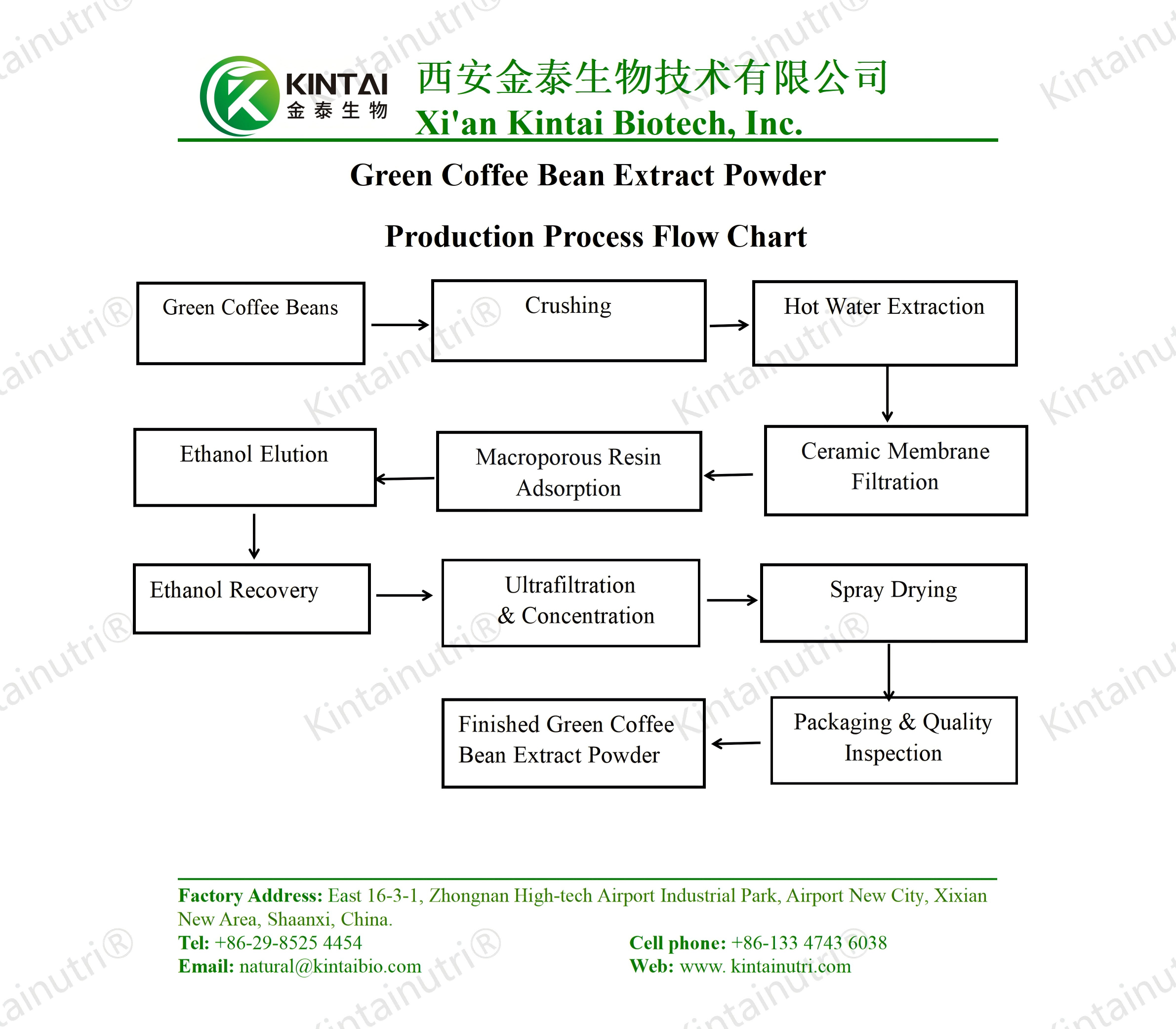 green coffee bean extract powder Production Process Flow Chart