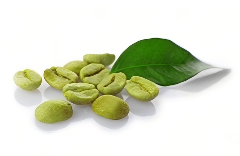 green coffee bean
