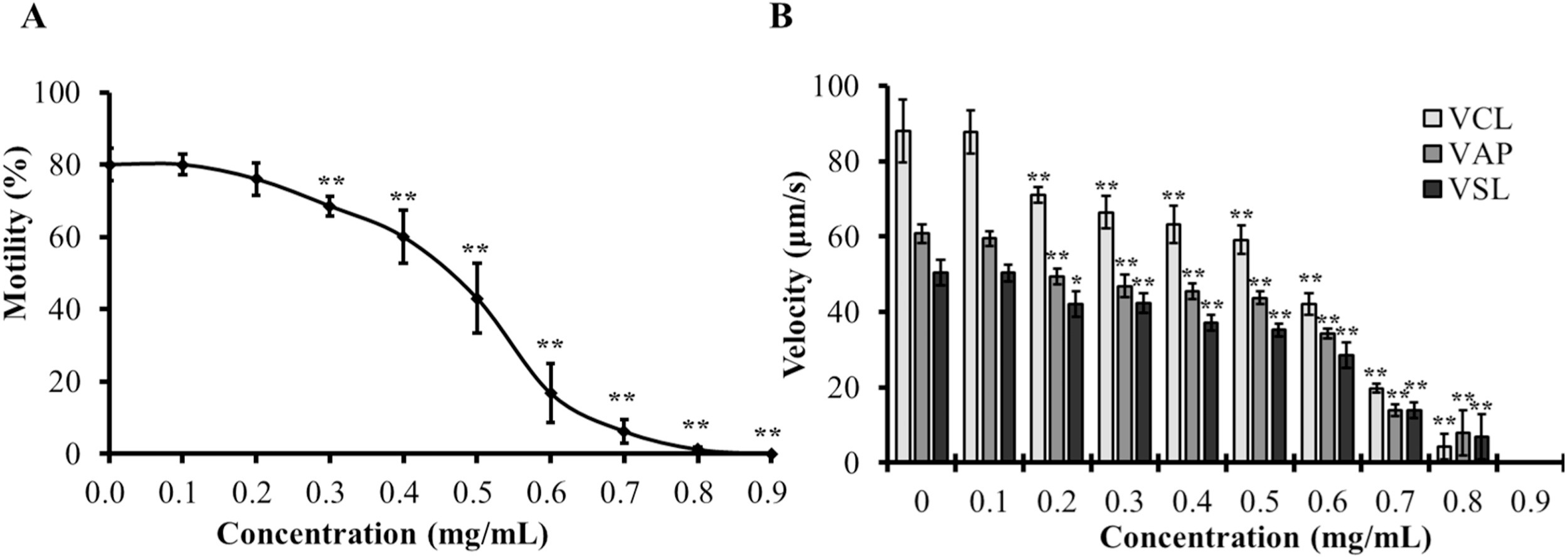Immobilizing effects of mandelic acid (MA) on human spermatozoa