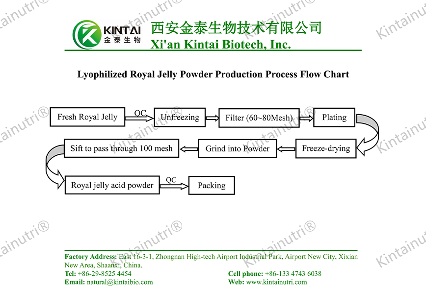 Lyophilized Royal Jelly Powder Production Process