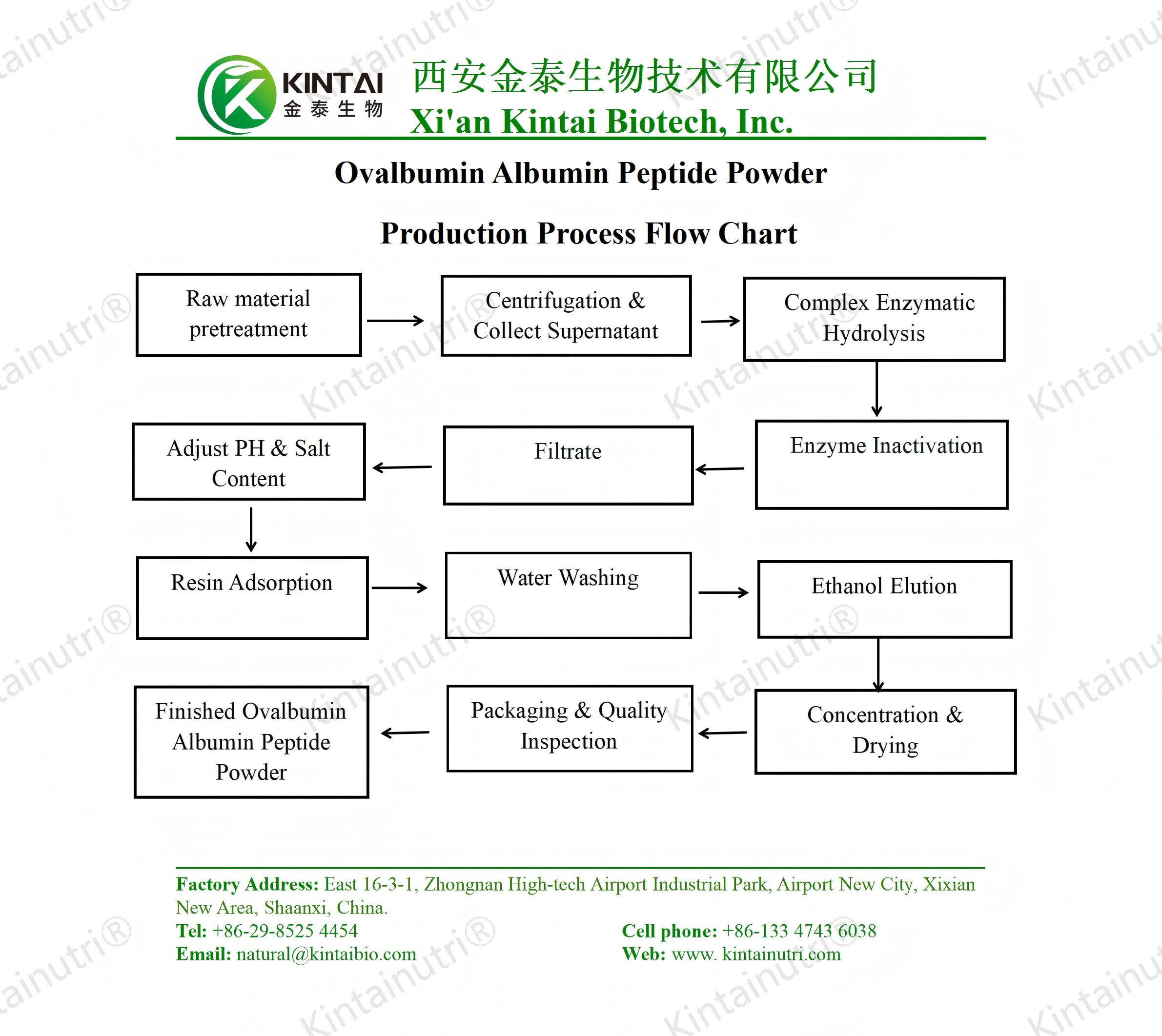 Ovalbumin Albumin PeptidePowder Production Process Flow Chart