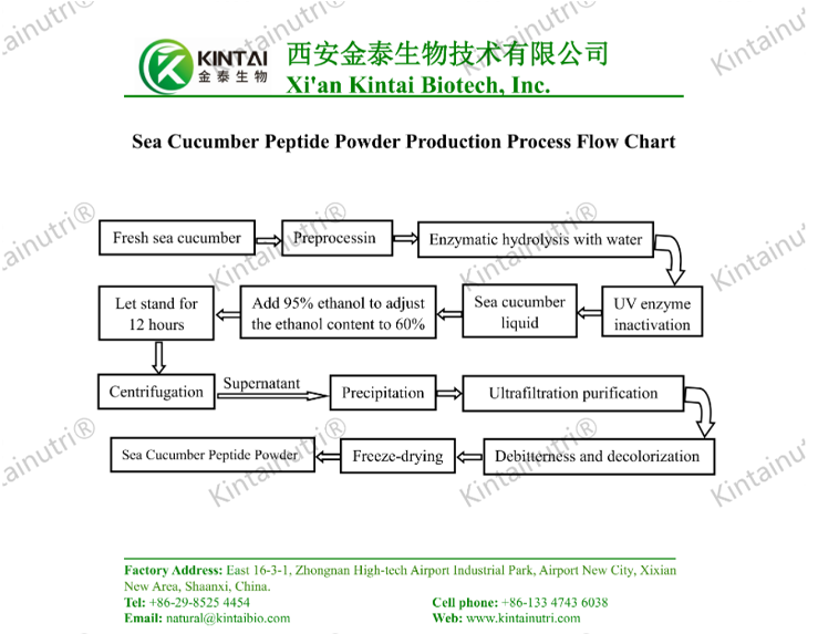 Oyster Peptide Powder Production Process Flow Chart