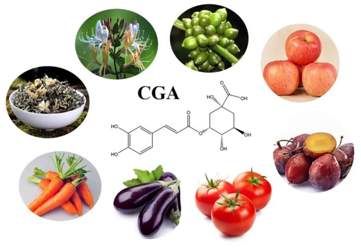  functional foods