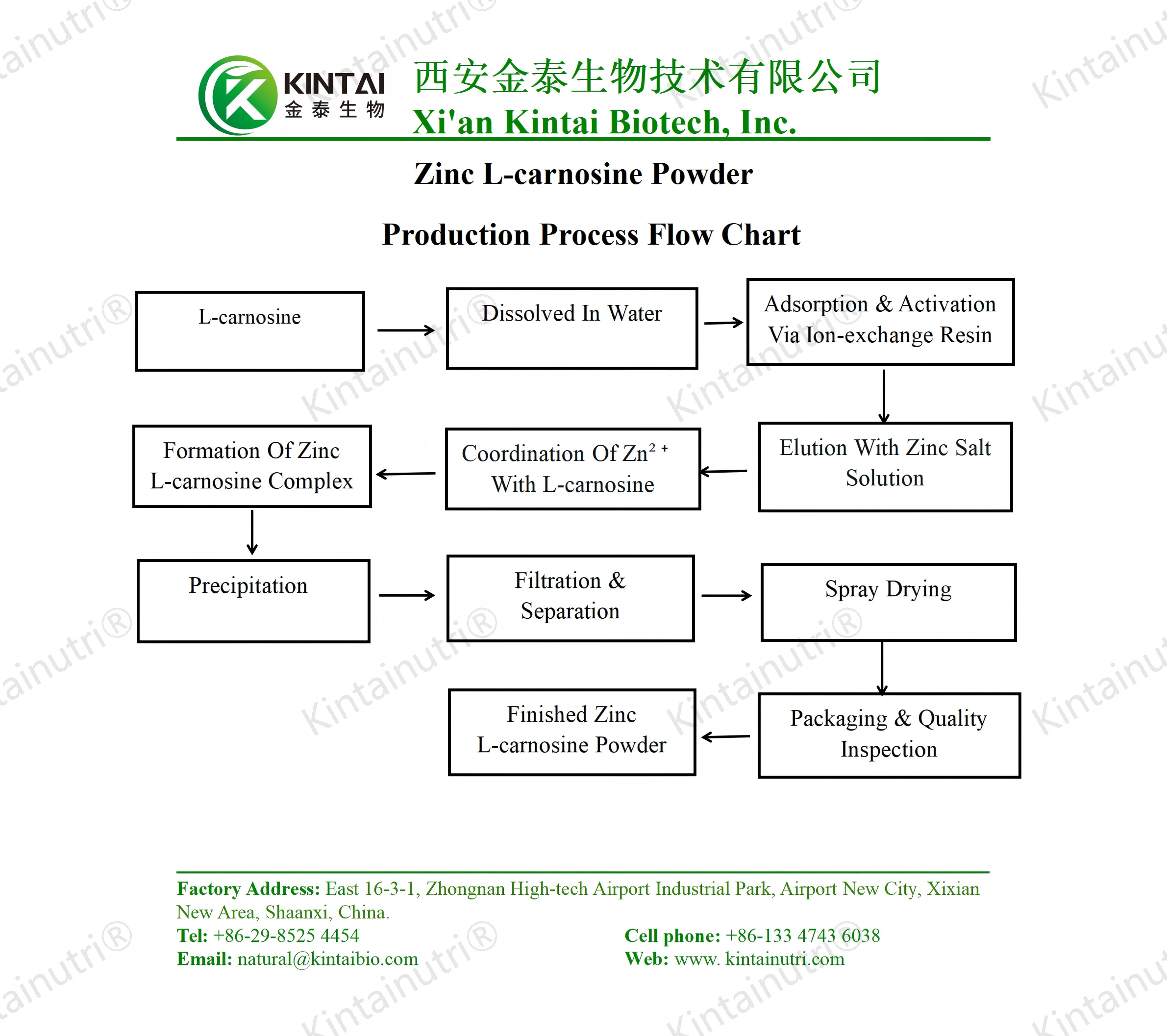 Zinc L-carnosine Powder production process flow chart