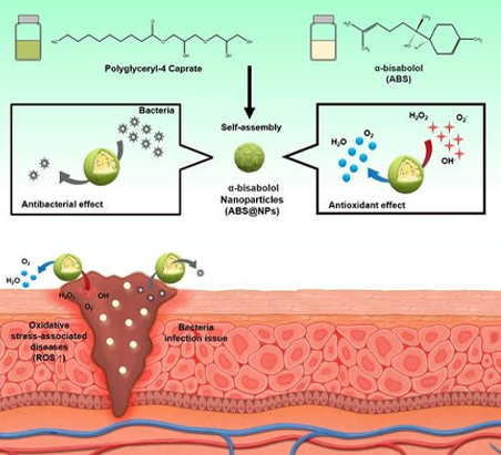 Alpha Bisabolol For Antibacterial