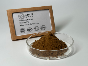 Artichoke Extract Powder
