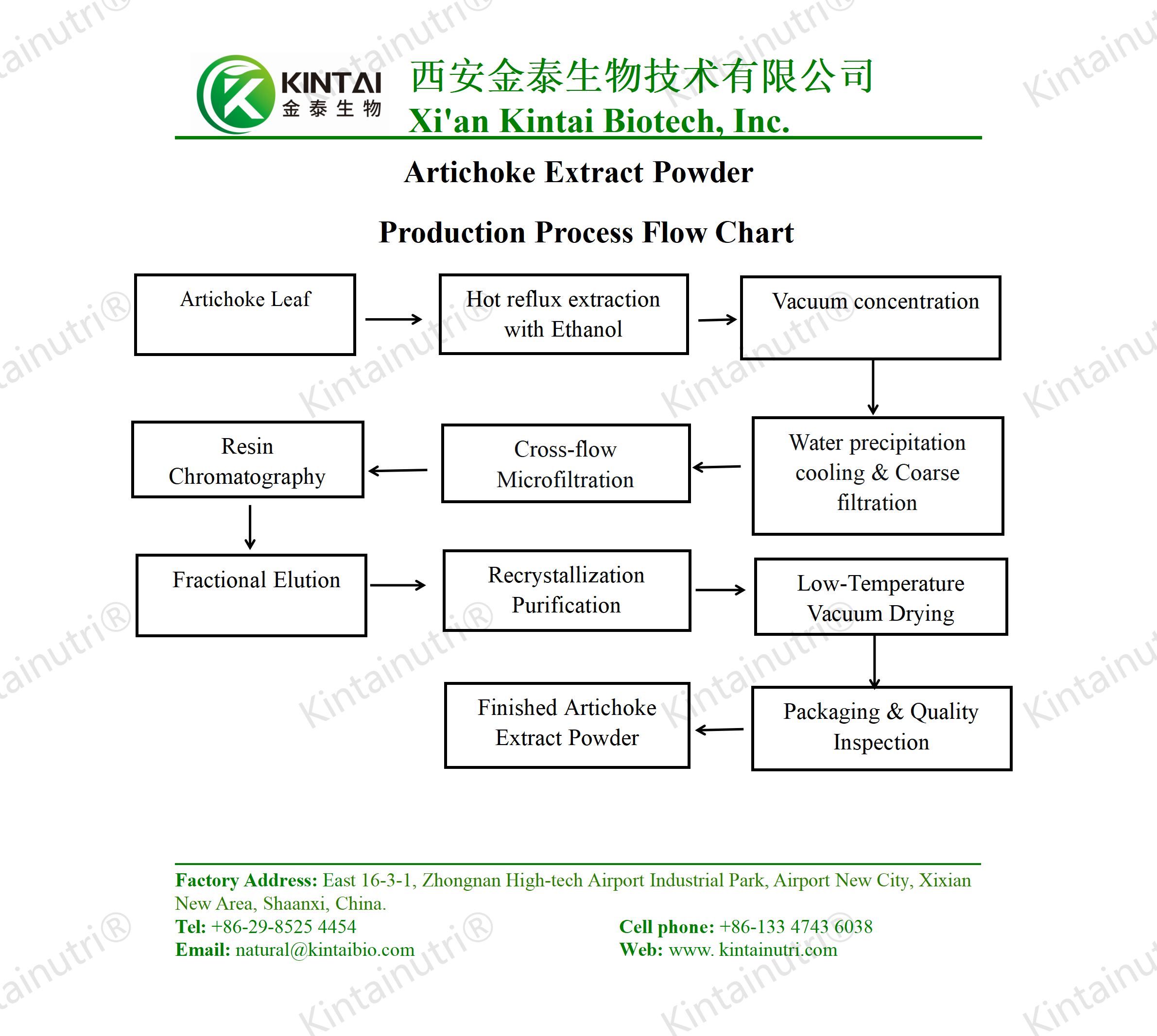 Diagramme de flux du processus de production de poudre d'extrait d'artichaut