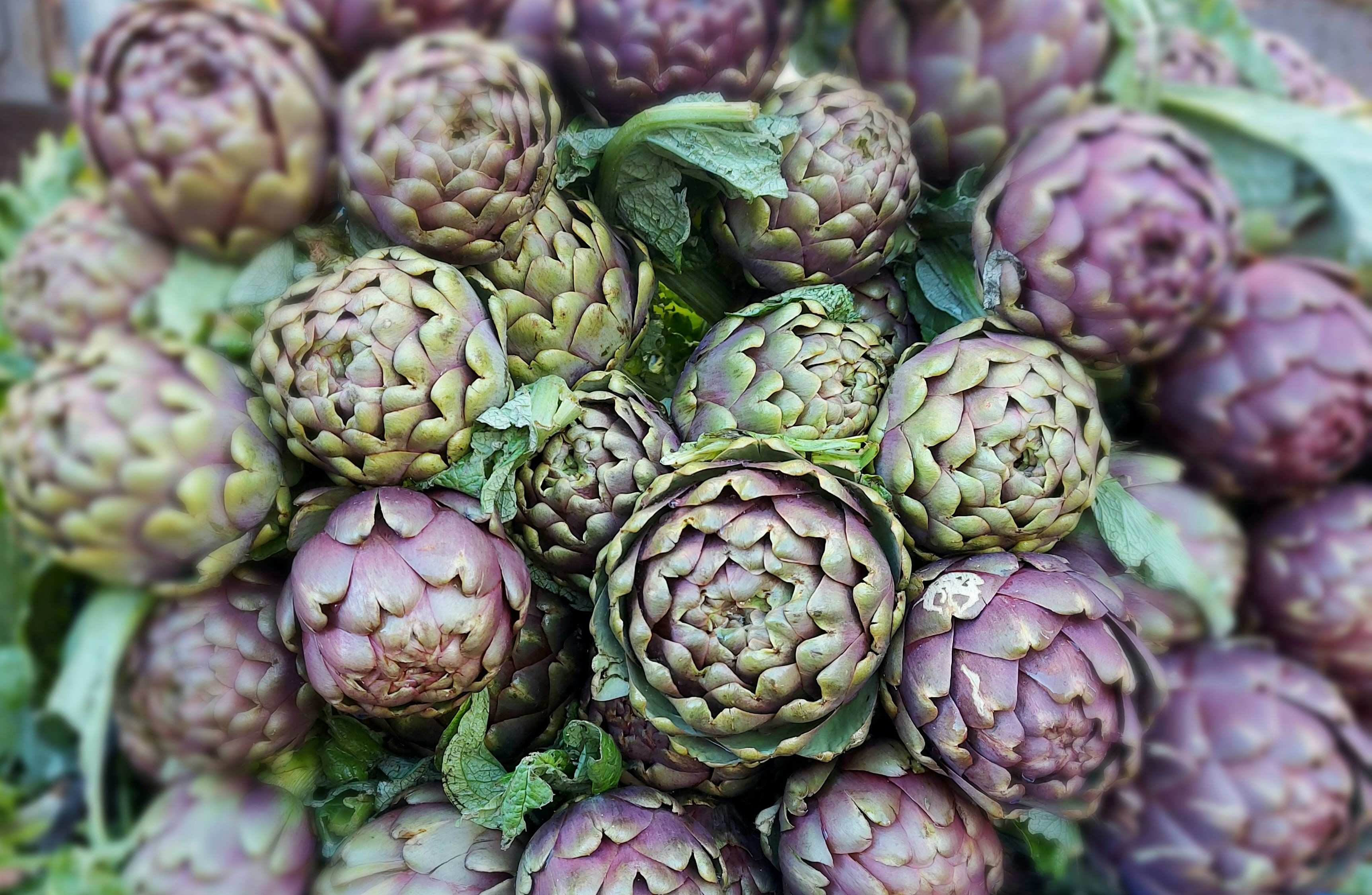 artichoke
