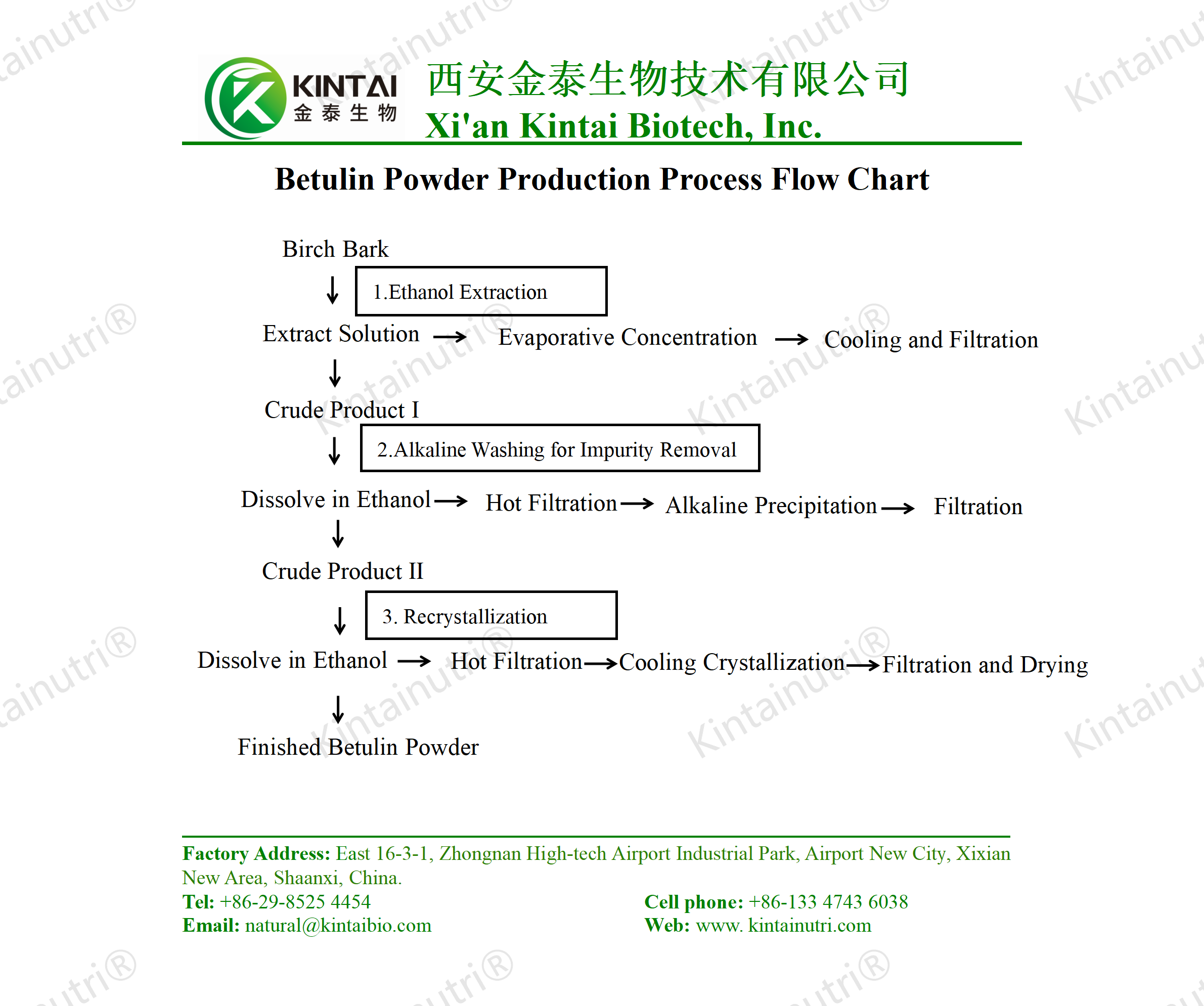 Betulin Powder production process flow chart