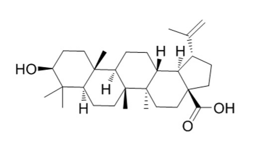 betulinic acid