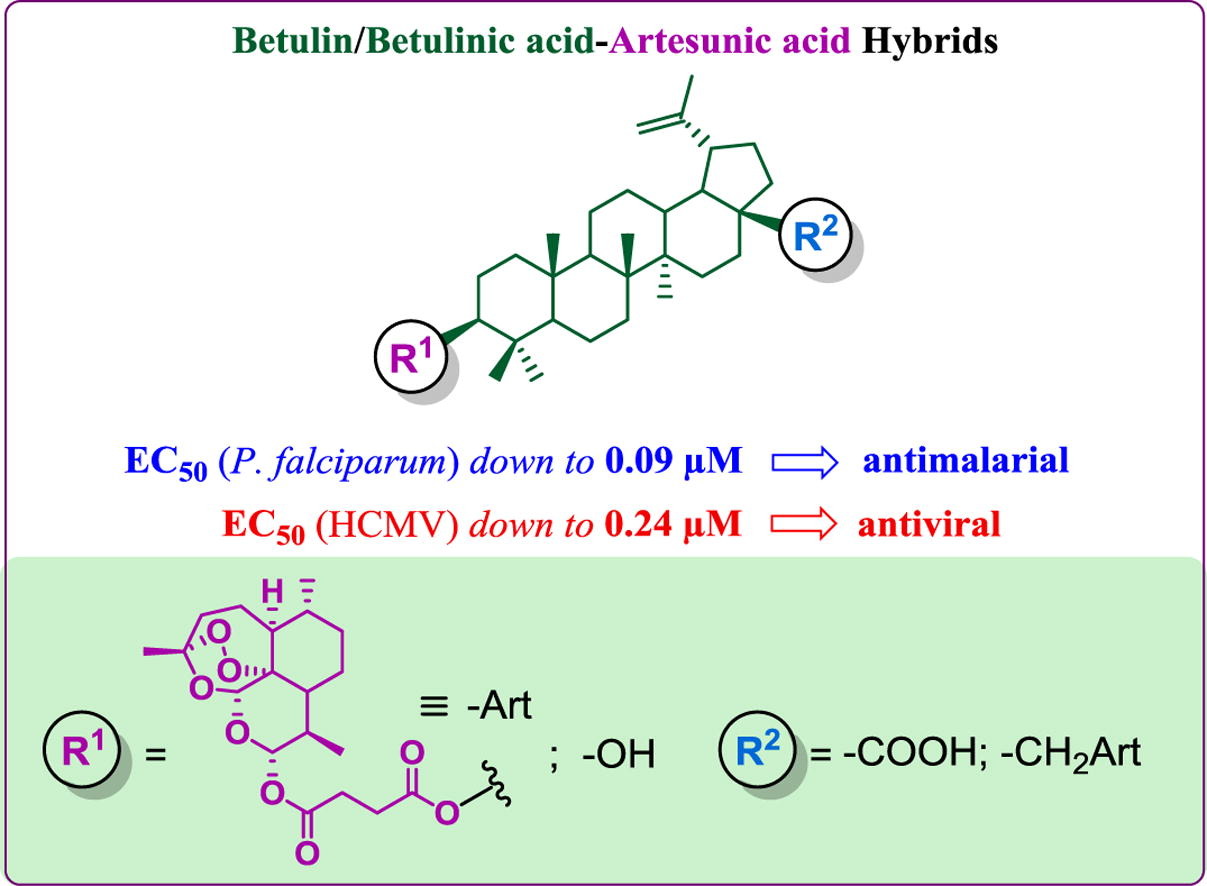 betulinic acid antiviral