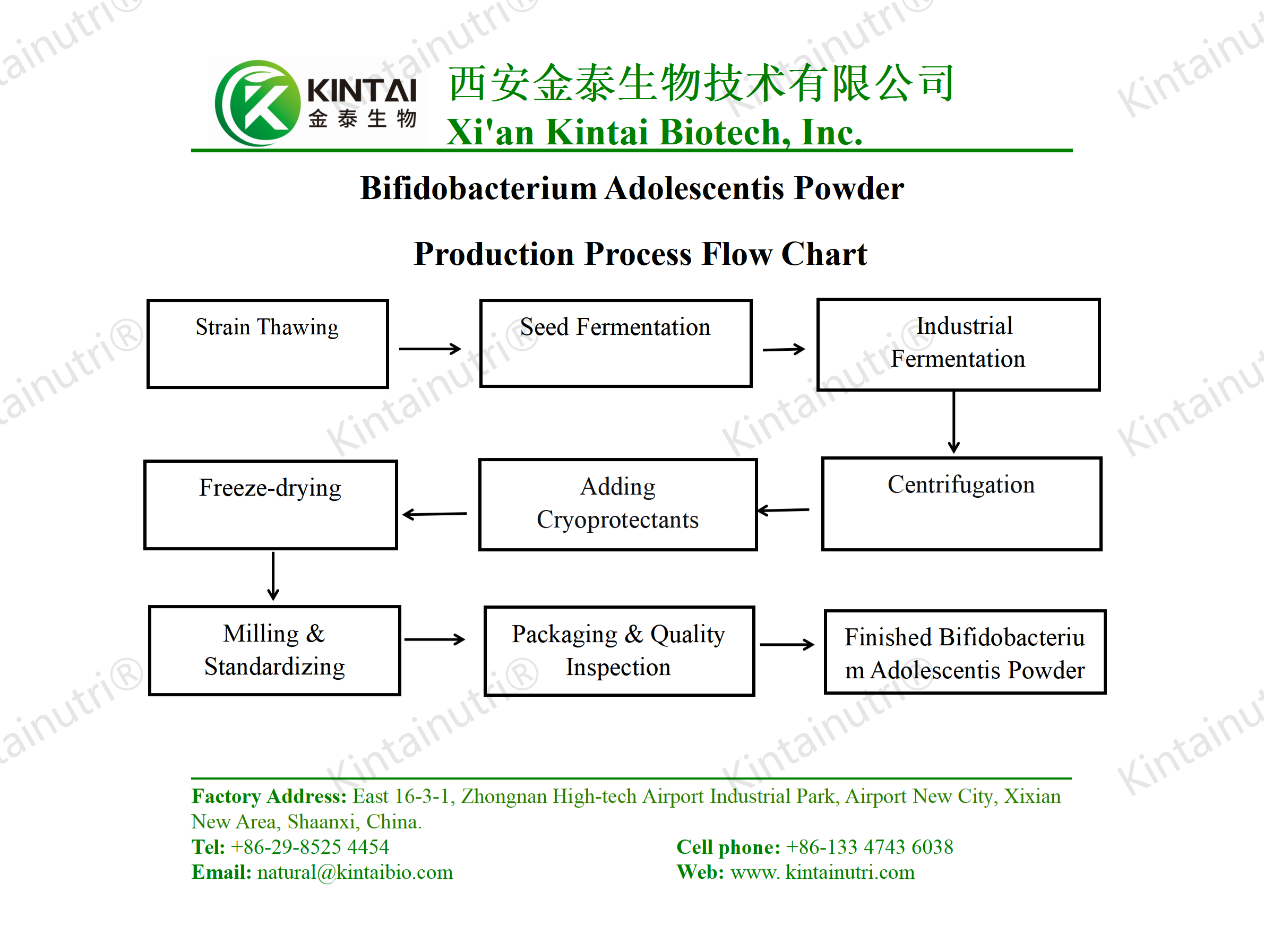 bifidobacterium adolescentis powder production process flow chart