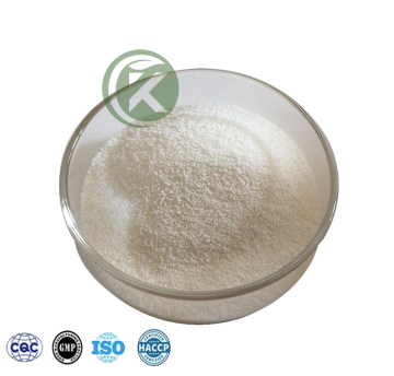 Bifidobacterium Adolescentis Powder