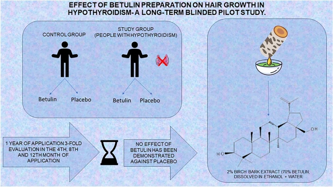 birch bark extract for hair
