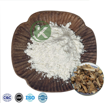 Birch Bark Extract Powder