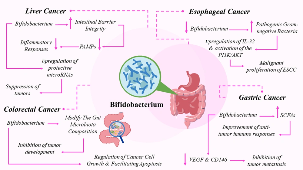 Enhancing Immune and Anti-inflammatory Functions