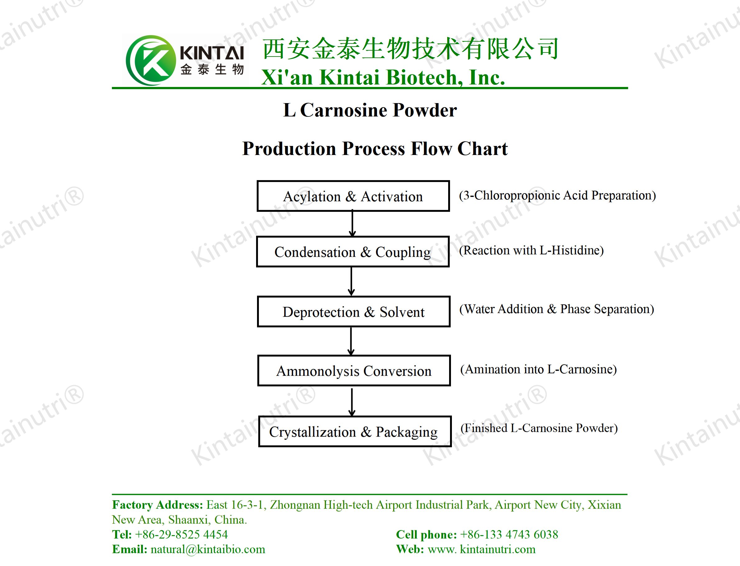 L Carnosine Powder production process flow chart