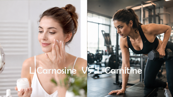 how much acetyl l carnitine Acetyl-l-Carnitine in the Treatment of Peripheral Neuropathies: A Narrative  Review | Pain and Therapy