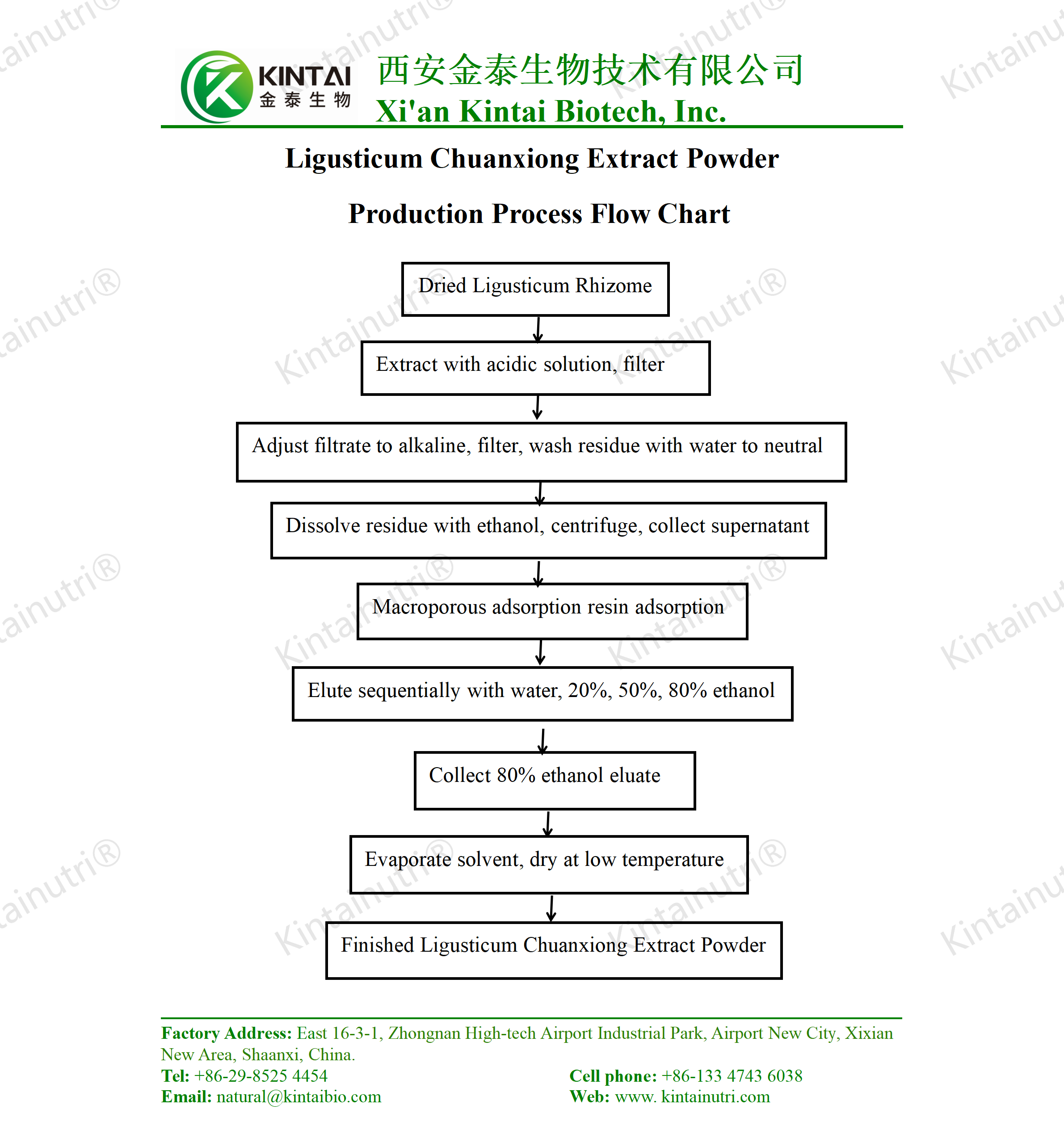 Ligusticum Chuanxiong Extract Powder production process flow chart