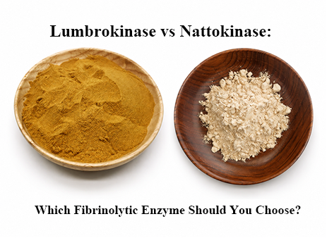 Lumbrokinase vs Nattokinase: Which Fibrinolytic Enzyme Should You Choose?