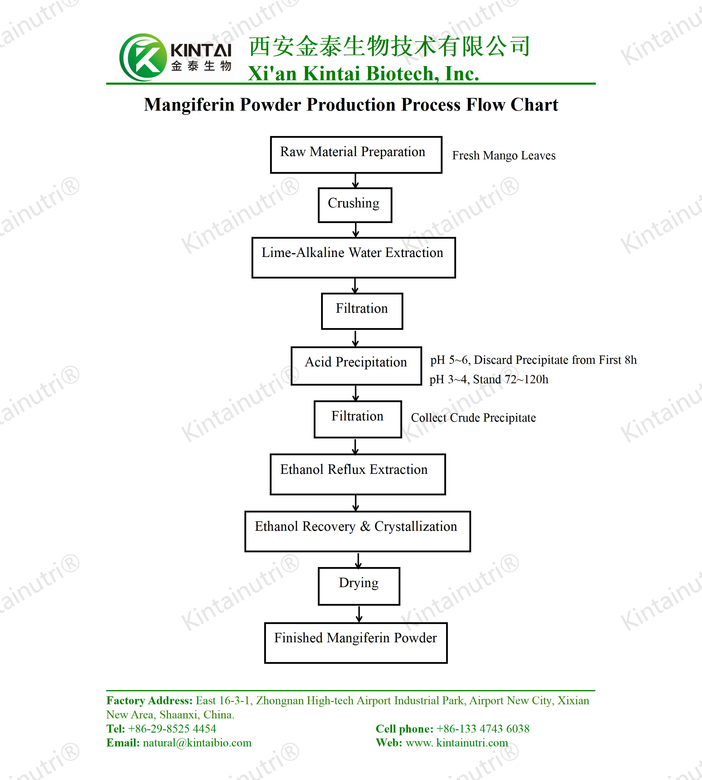 Mangiferin Powderproduction process flow chart
