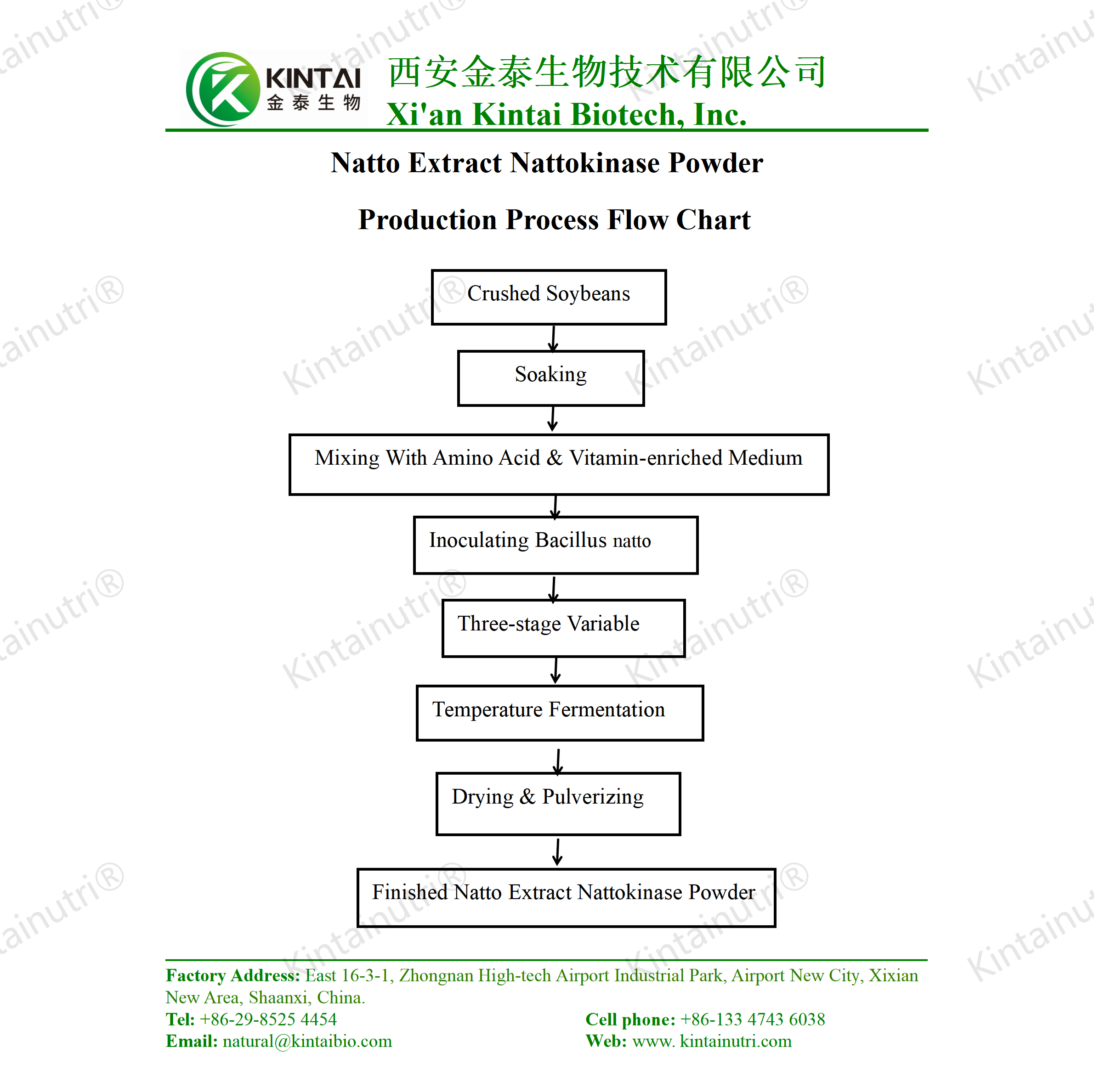 Nattokinase Powder production process flow chart