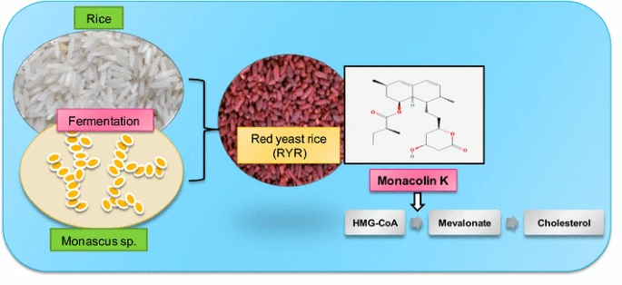 red rice yeast with monacolin k