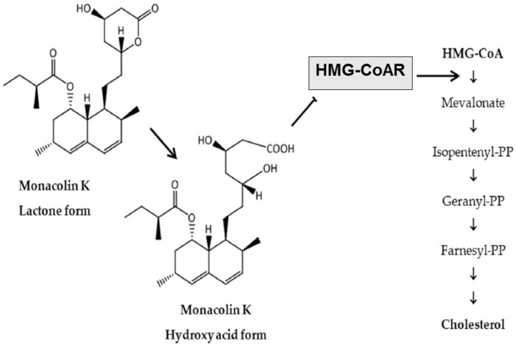 Red yeast rice extract and cholesterol