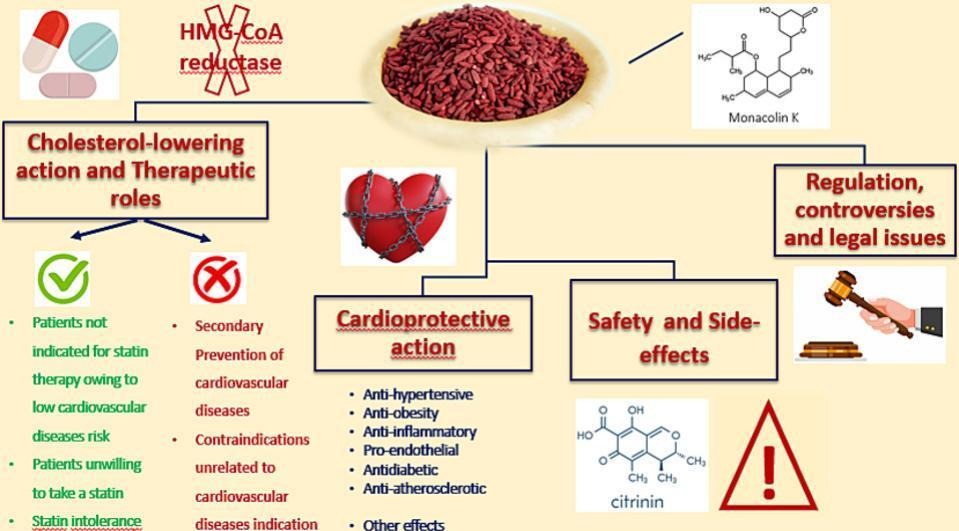 Red yeast rice powder for cardiovascular health